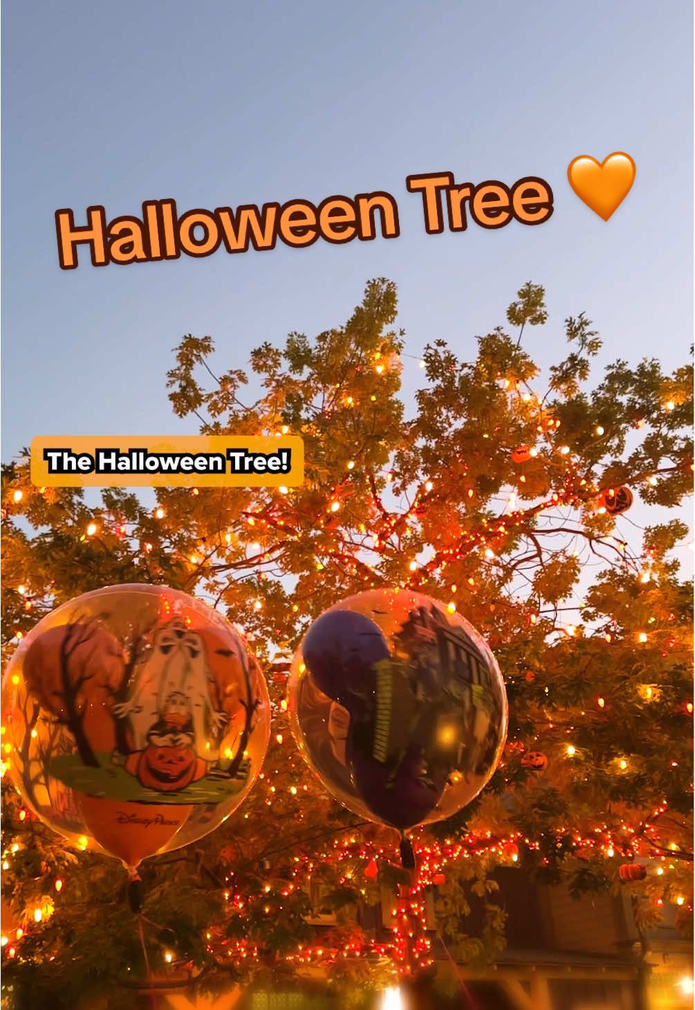 Disneyland, where Halloween spirit takes root 🧡🎃 #DisneyHalloween 