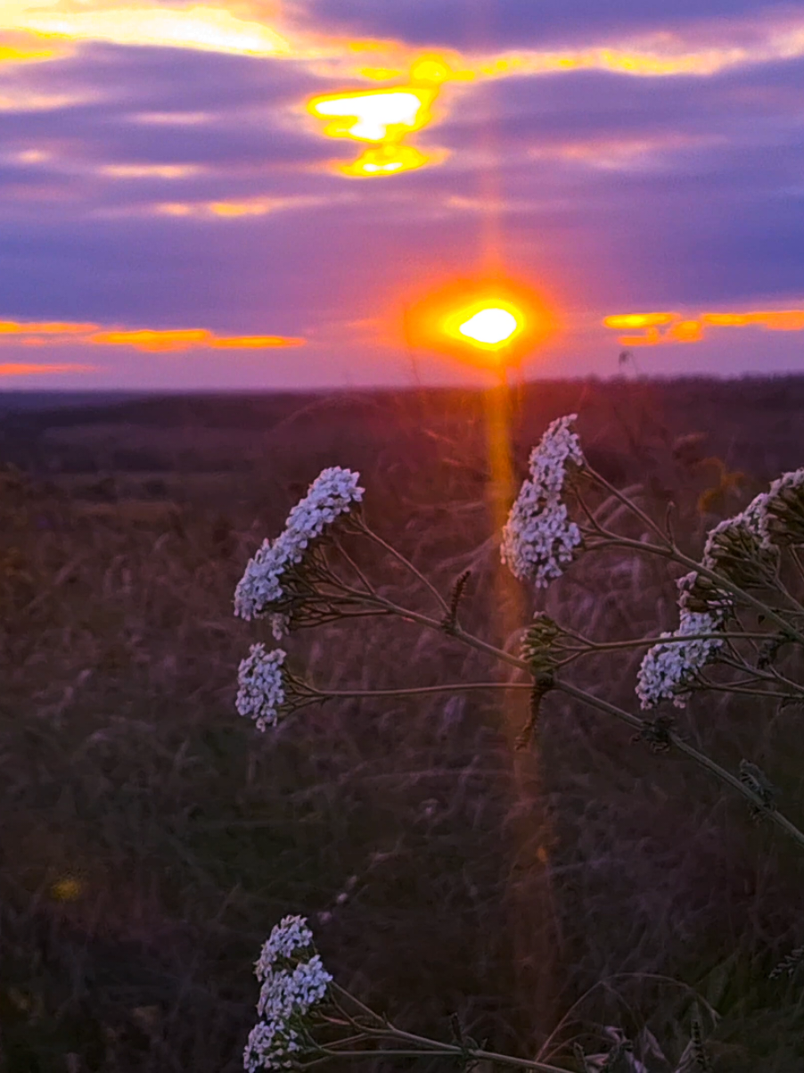 gorgeous sunset  #real #fypシ゚ #vibes #atmosphere #sunsetlover 