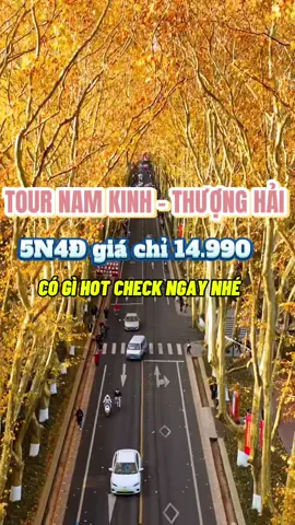 Tour Nam Kinh - Thượng Hải 5N4Đ có gì???? #quynhbantour #namkinh #thuonghai #viral #reviewtourtrungquoc 