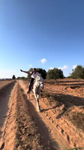 #fyppppppppppppppppppppppp #تونس🇹🇳 #خيل_وخياله🐎🖤ماشاءالله_اللهم_بارك🧿♥️ #المغرب🇲🇦تونس🇹🇳الجزائر🇩🇿 #خيل_وخياله🐎 @Feres Ben Amor 🏇 