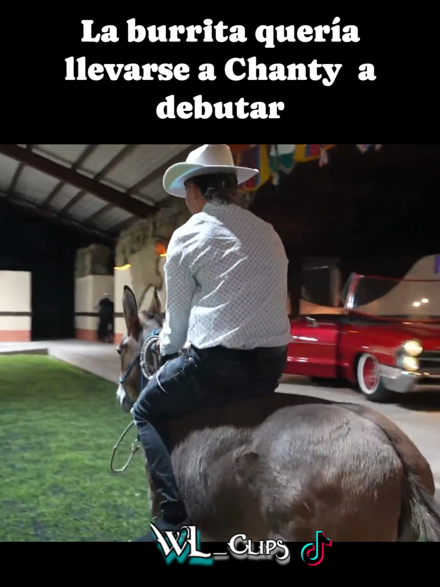 La burrita quería llevarse a Chanty  a debutar #yosoychanty #westcol