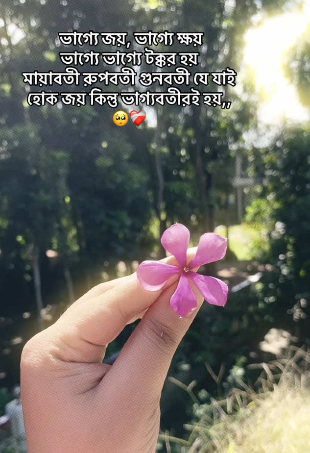 ভাগ্যে জয়, ভাগ্যে ক্ষয় ভাগ্যে ভাগ্যে টক্কর হয়  মায়াবতী রুপবতী গুনবতী যে যাই হোক জয় কিন্তু ভাগ্যবতীরই হয়,, 🥺❤️‍🩹#foryoupage #unfrezzmyaccount #100millionviews #foryoupage❤️❤️ #fypシ゚viral🖤 