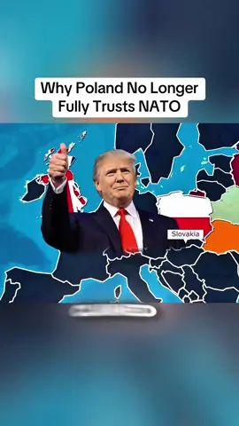 Why Poland No Longer Fully Trusts NATO #poland #trust #nato #geography 