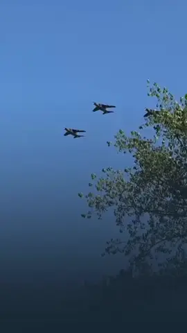 Данас Србију нико на свету не може да прегази. 🇷🇸🇷🇸🇷🇸