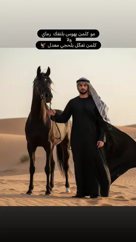 #بابل #الحمزه_الغربي 