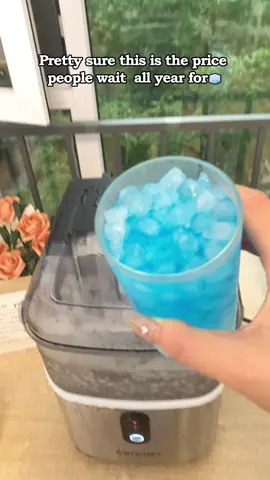 This one lowkey made me mad!!! I could have bought 2 for this price 😮‍💨😮‍💨😮‍💨😮‍💨 and I love to chew ice !! 🧊 #gooddeals #coupon #viral #tiktokshop #deals
