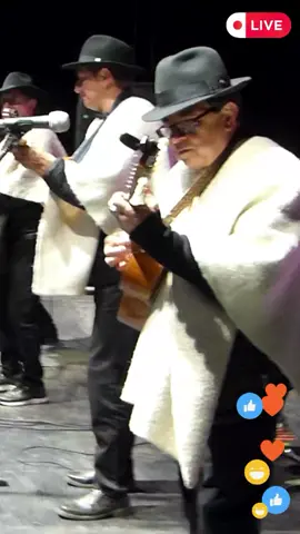 Ilusiones Perdidas-El Son de Allá-en vivo Autor y Compositor-Libardo González  #ilusionesperdidas #elsondeallá #envivo #elsondealla #elsondeallá❤️🎶🎶🎶 