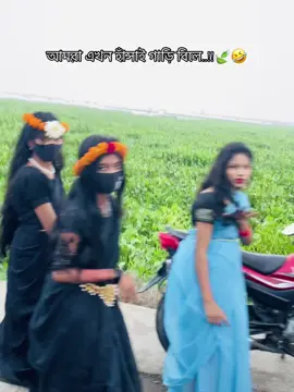 আমরা এখন হাঁসাই গাড়ি বিলে..!!🍃🤣#creatorsearchinsights #trending #viralvideo #fry 