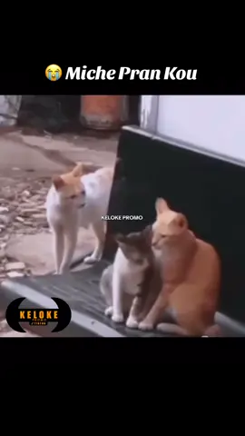 MIMI PRAN KOU 😂 