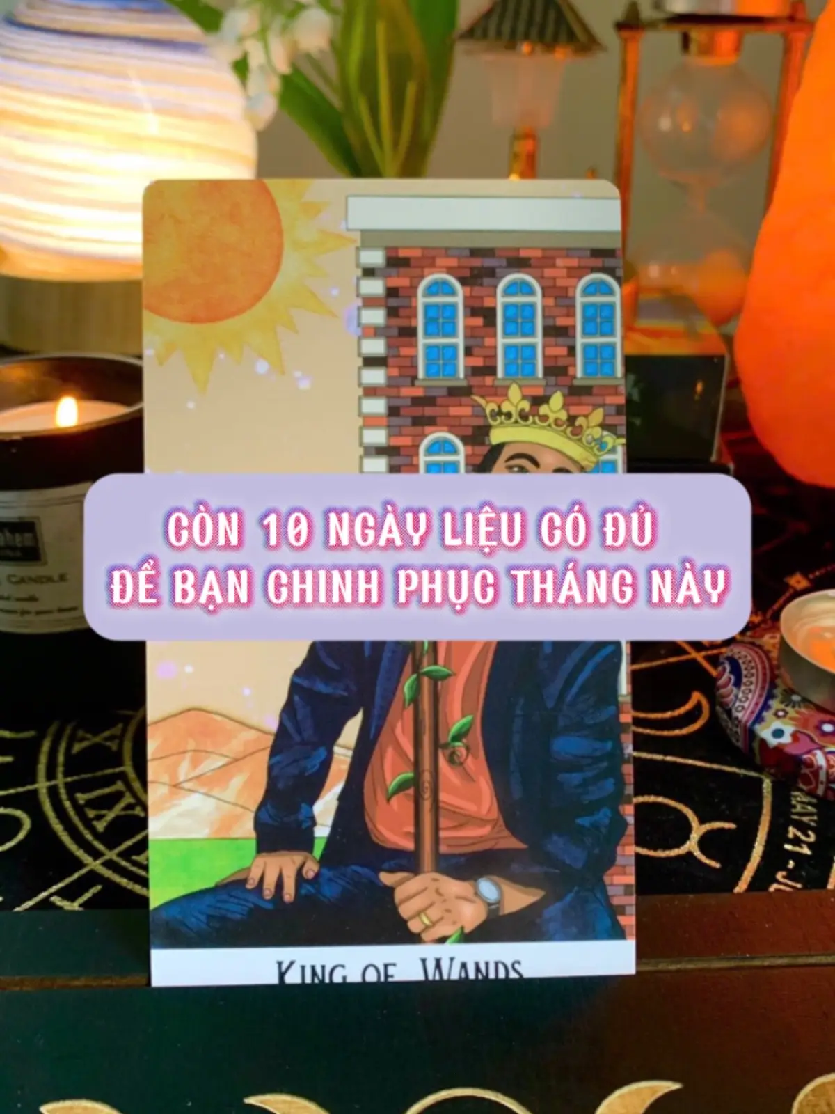 #phytarot #tarotbyphy #tarotonline #xh #fyp 