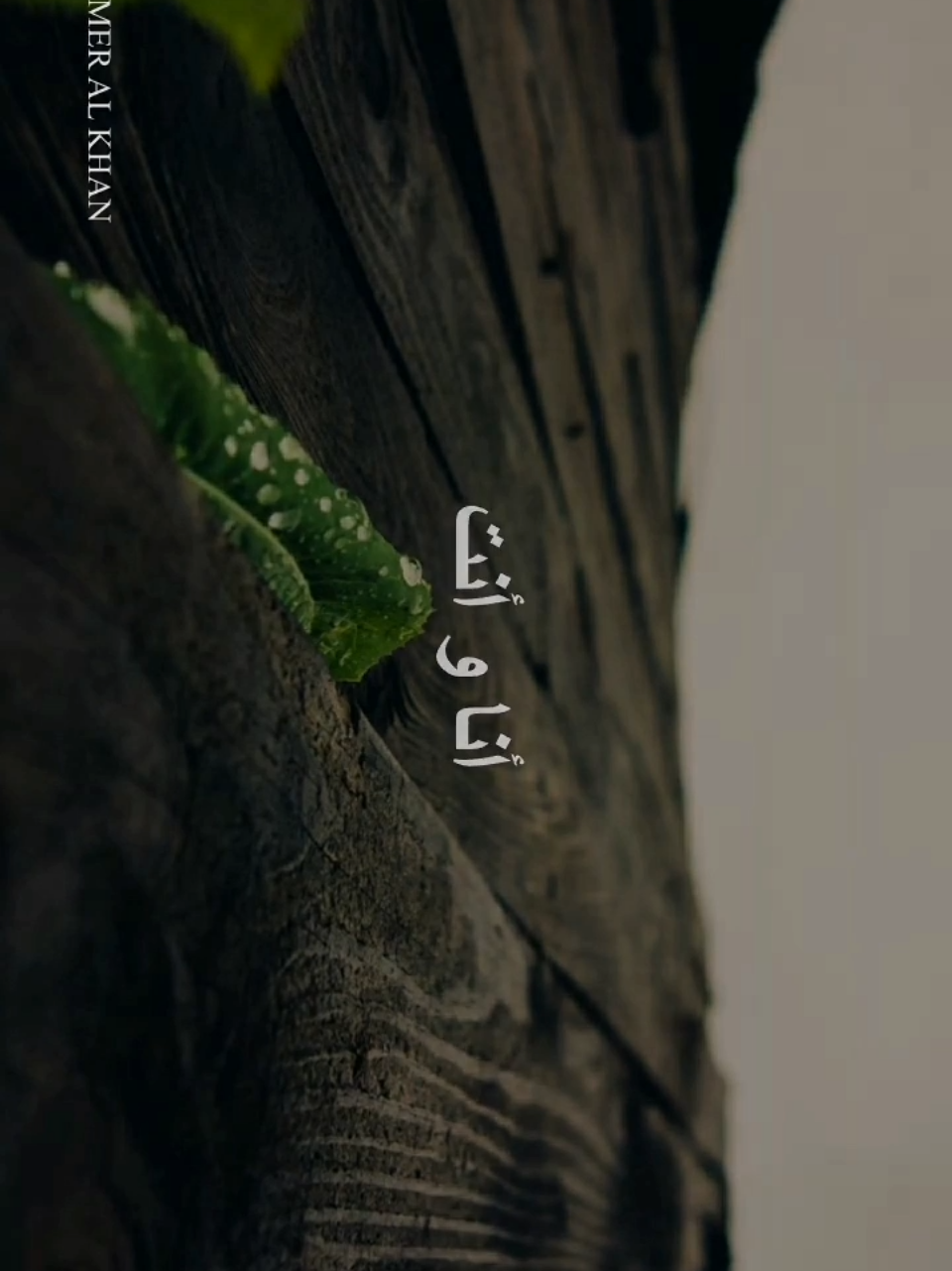 مطر لسنين