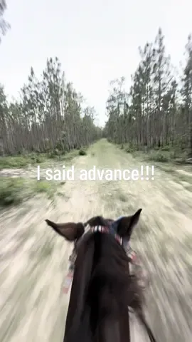 #AttackOnTitan #ottb #barrelhorse #fyp #fypシ゚viral 