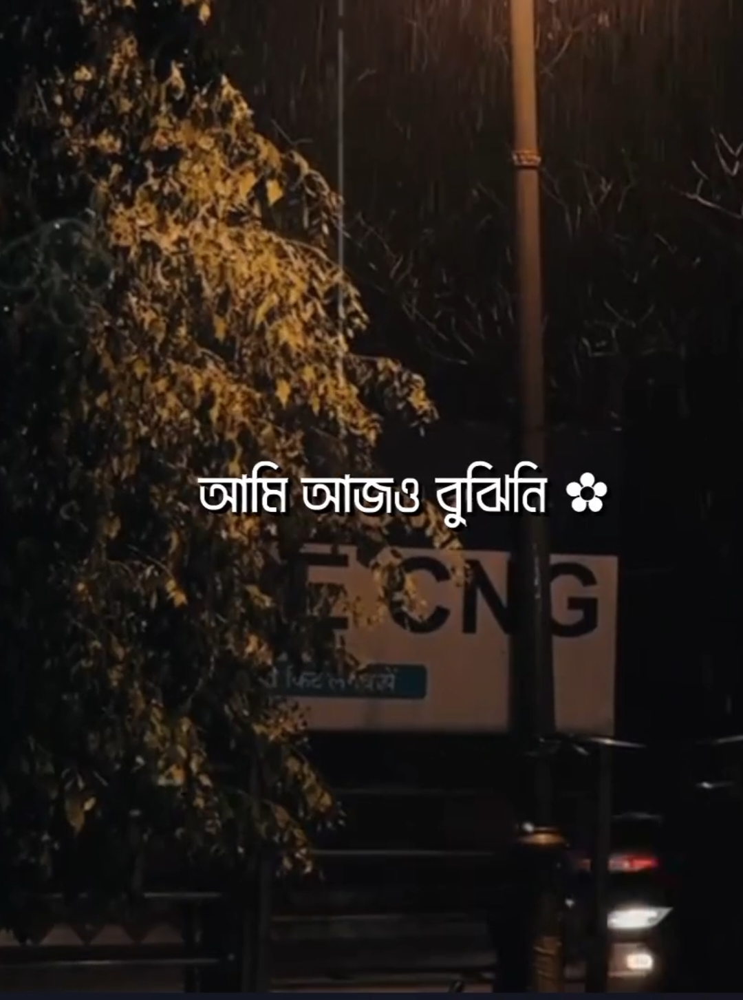 - তোমার আমার প্রেম 