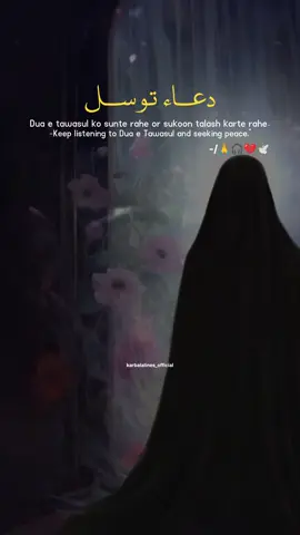 Dua e tawasul 🎧  #karbalalines_official #shia #foryou #dua #bibifatimazahraص 