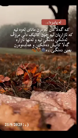پایــز.،🤎🍂/#هەولێر./#کوردستان، 