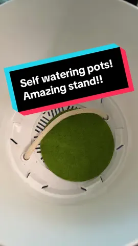 Parker bangs and go on that vacation. Don’t worry about the plants! 🥳💦💦@Vivosun.Garden @VIVOSUN US 