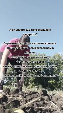 #україна🇺🇦 #рек #іринакобзар #покусалибджоли #немовчи 