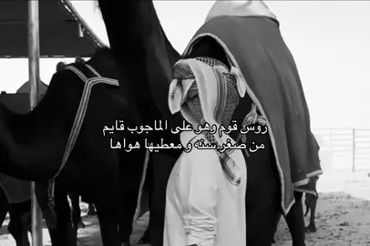 #شنار_الدوسري #axsblor #أكسبلور @شنار الدوسري 