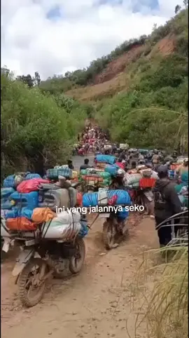 jalannya seko jantung sulawesi
