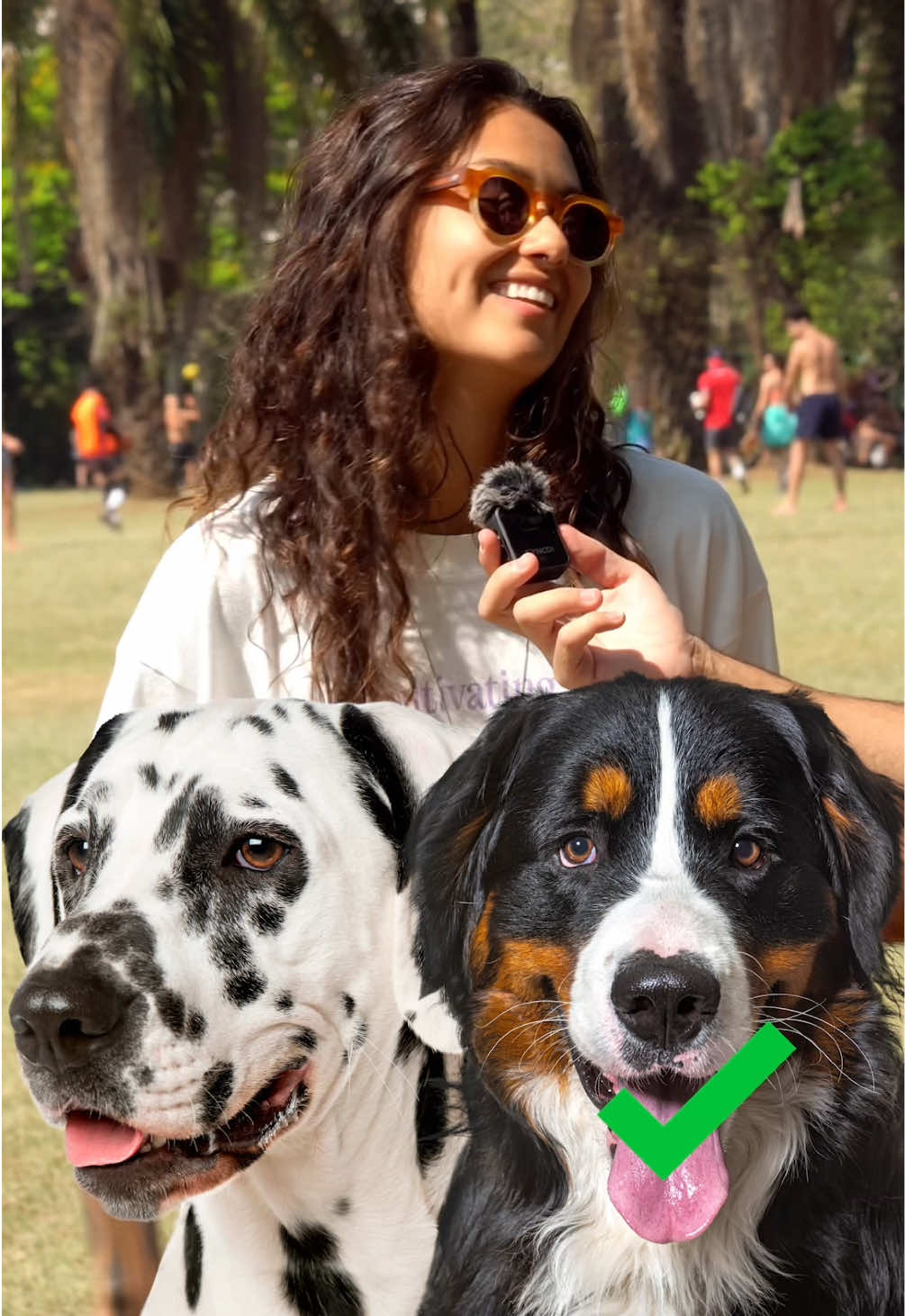 Qual desses cães você considera o mais bonito? #cachorro