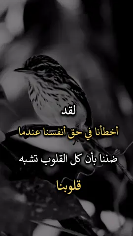 #عبارات #عباراتكم_الفخمه📿📌 #افضل_عبارة_لها_تثييت #اجمل_عبارة_راح_ثبتها📌 