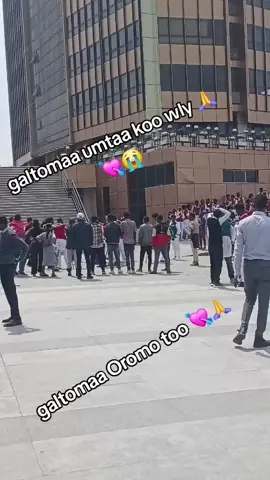 #😭😭😭😭😭😭😭 ##♥️♥️♥️♥️♥️♥️♥️ #❤️❤️❤️❤️❤️❤️ galtomaa umtaa koo 🙏🙏🙏🙏🙏😭😭😭
