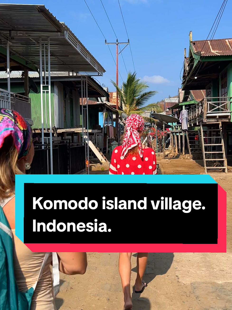 Komodo dragon island 🏝️. Indonesia.