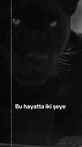 Ağırsözler (takip edermisiniz)😎