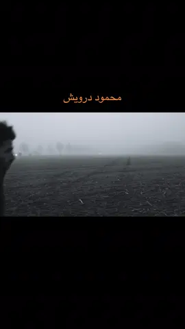 ڕۆژگارێکی بێزارکەر و ئايندەيێکی ناديار و خەوێکی ناڕێک ، ڕۆژەکان دەڕۆن و هيچ شتێکی نوئ بوونی نيە   #baxtyarali #adilaziz #بەختیار_عەلی #دۆستۆیڤسکی #kurdanialmanya #تەنها_پشت_بەخوا_ببەستە #kurdanibaretanya #کوردانی_تاراوگه #ئەکتیڤم_سفرە #kurdaniswed #kurdanitarawga #kurdanifinland #kurdanitarawga🇬🇧بەریتانیا_🇩🇪ئەڵمانیا #بەختەوەری #kurdstan_tiktok #کوردانی_ئەڵمانیا #وێنەکێشان 