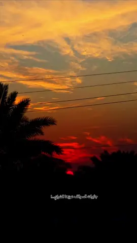 #الشعب_الصيني_ماله_حل #تصويري #عباراتكم_الفخمه #fyp #لايكات 