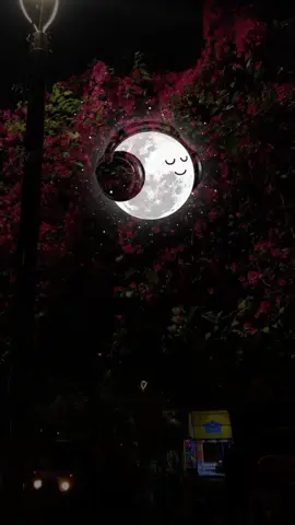 أرح_سمعك_وقلبك💝 #ماهرالمعيقلي #راحة_نفسية #قرآن_كريم #قرآن #quran 