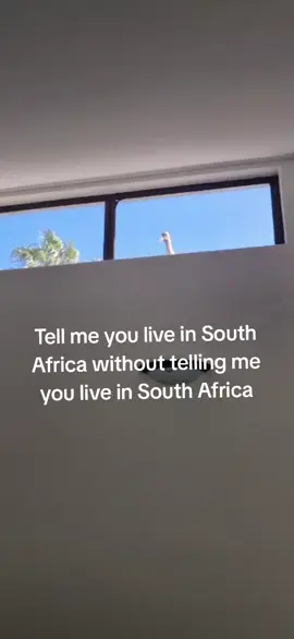 Anthem to a true RSA alarm! @Maybexx 👄  #fokof #capetown  #wakeup