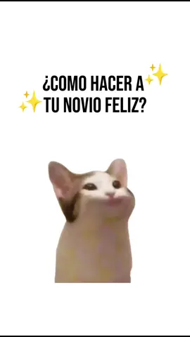 Pasos sencillos para hacer a tu pareja feliz 🫰🏻💯 #viraltiktok #fyppppppppppppppppppppppp #tendencia #gatos #venezuela 