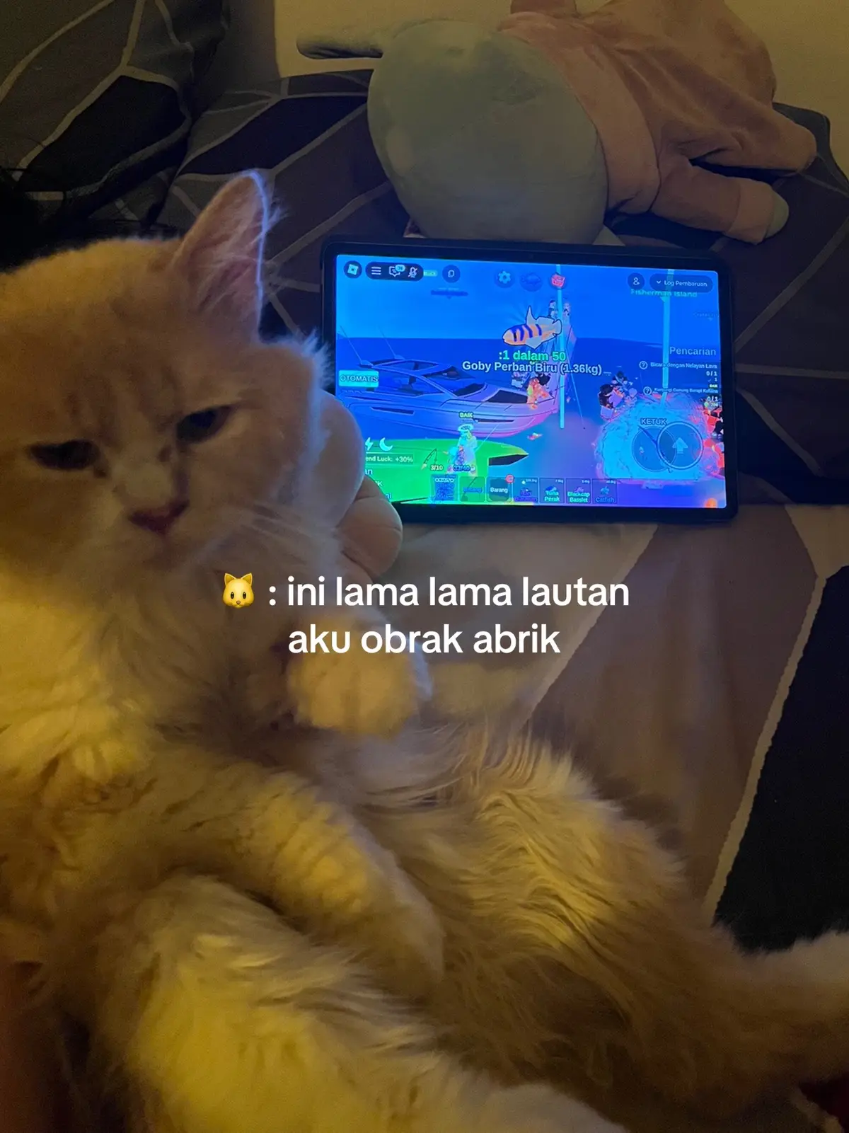 #fishit #roblox 