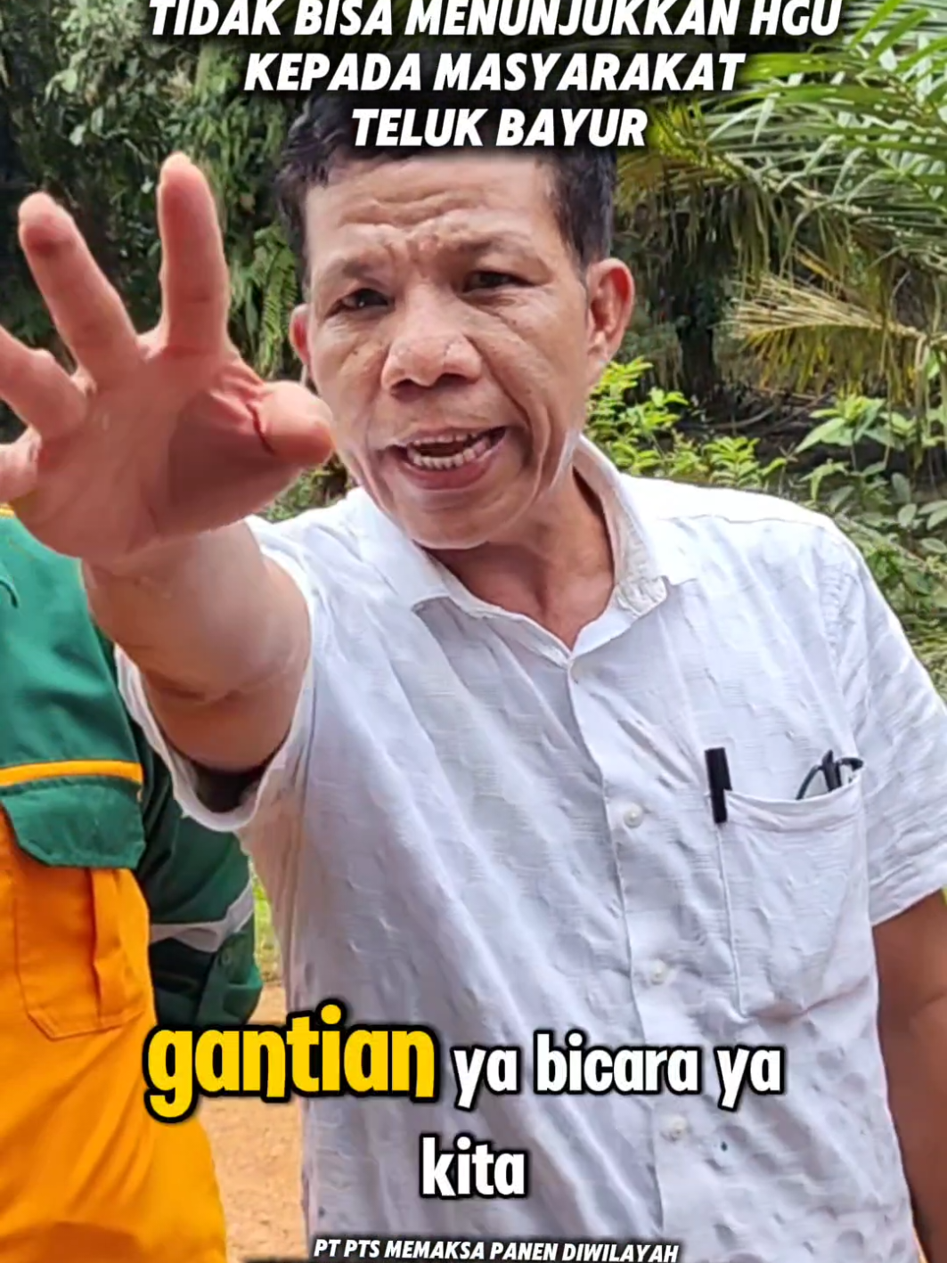 Management PT PTS Bersikukuh Tetap Melakukan Panen Di wilayah Pendudukan Lahan Oleh warga Teluk Bayur, Yang Dimana Pihak Pt PTS Berbelit Belit dan tidak bisa menunjukkan HAK KEPEMILIKAN SURAT HAK GUNA USAHA, Dan disinyalir selama Puluhan tahun Beroperasi Diluar HGU. #LAUR #TELUKBAYUR #kalbar #infosawit #konflikagraria 