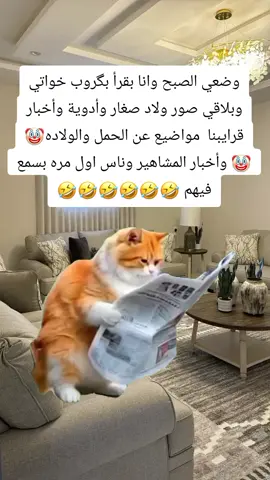 #Meme #MemeCut #CapCut مين خواتو هيك🤣 #fyp #تركيا 