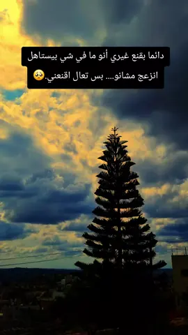 #تصويري📸 #WelcomeWassouf #اسكت #fyp #flypシ @Georges Wassouf 