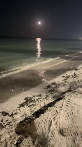 #ينبع 