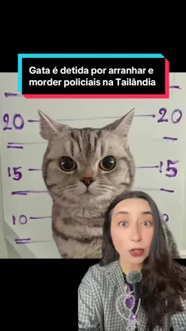 Gata é detida por arranhar e morder policiais na Tailândia (Fontes: NDTV World, South China Morning Post, Irish Legal News) #gatostiktok #fofo #engraçado 