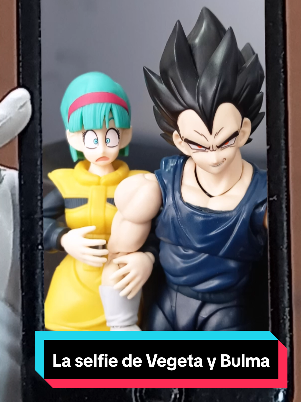 La selfie de Vegeta y Bulma #dragonball #parodia #sebastianghoxt #vegeta 