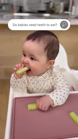 🦷 BLW Myth Buster: Babies need teeth to eat. ❌ Not true! Babies can safely start solids without teeth when the food strip is prepared to be: 1️⃣ The length of an adult pinky finger 2️⃣ Soft enough to mash with gums 3️⃣ With ridges so baby can grip + chew along their gumline Our BLW Food Cutters make every strip the perfect size, softness, and texture. 🙌 Busting that myth! #BabyLedWeaning #ezpzfun #BLWmythbuster