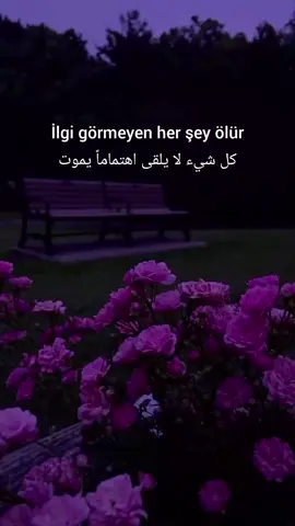 ابدأ بقلبك أولاً 💖 #fy #reelsvideo❤️ #تركيا🇹🇷 #türkiye #تعلم_اللغة_التركية 