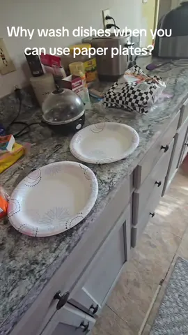Paper plate 🍽  #brandedbuzz #parties #disposable #paperplate 