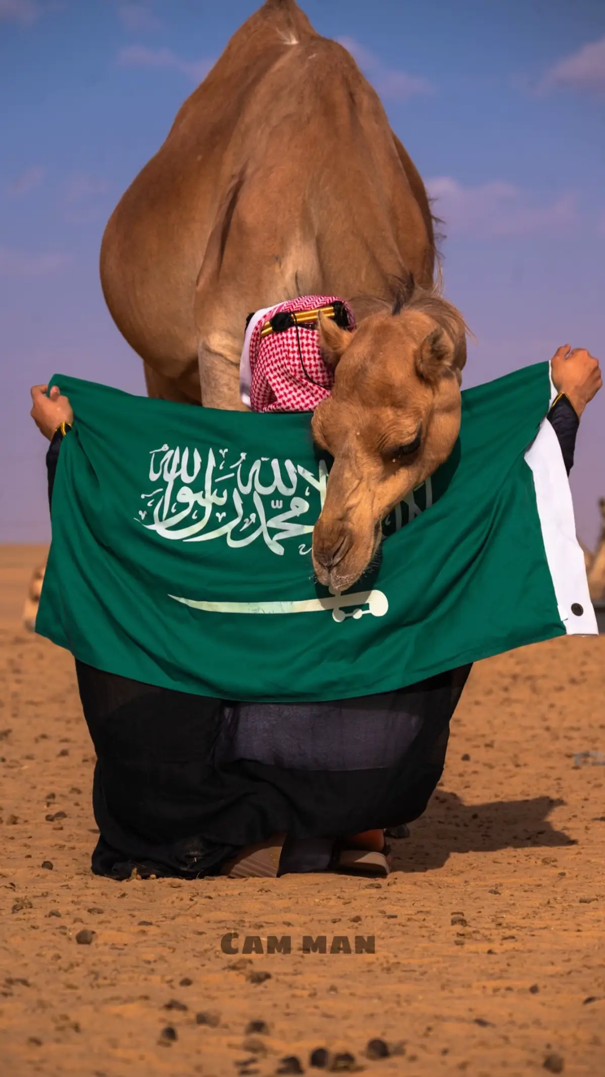 #المملكه_العربيه_السعوديه🇸🇦 #اليوم_الوطني #نجران_السعوديه #مصور #photography 