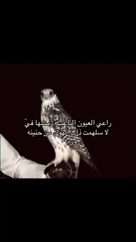 #foryoupage #b #B #fyp #fypage 