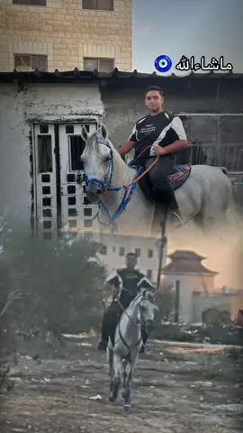 ماشاءالله جود 🐴❤️🖤
