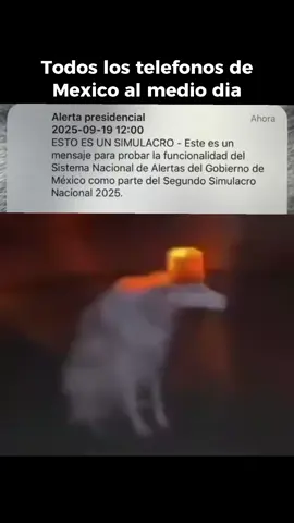 JAJAJAJAJAJJAJAJA #foryou #mexico #fyp #foryoupage #paratii 