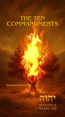 The Ten Commandments in Paleo-Hebrew: Yahuah’s Covenant as Given to Mosheh Abstract This article examines the Ten Commandments (Exodus 20, Deuteronomy 5) as originally written in Paleo-Hebrew and given to Moshe at Sinai. Through verified Dead Sea Scroll fragments, Paleo-Hebrew inscriptions, and comparative glyph studies, we reconstruct the covenant.  Below is the full Hebrew text of the Ten Commandments as preserved in the Masoretic Text (Exodus 20:2–17). I’ve stripped out verse markers so you have just the Hebrew block: אָנֹכִי יְהוָה אֱלֹהֶיךָ אֲשֶׁר הוֹצֵאתִיךָ מֵאֶרֶץ מִצְרַיִם מִבֵּית עֲבָדִים׃   לֹא יִהְיֶה לְךָ אֱלֹהִים אֲחֵרִים עַל פָּנָי׃   לֹא תַעֲשֶׂה לְךָ פֶסֶל וְכָל תְּמוּנָה אֲשֶׁר בַּשָּׁמַיִם מִמַּעַל וַאֲשֶׁר בָּאָרֶץ מִתָּחַת וַאֲשֶׁר בַּמַּיִם מִתַּחַת לָאָרֶץ׃   לֹא תִשְׁתַּחֲוֶה לָהֶם וְלֹא תָעָבְדֵם כִּי אָנֹכִי יְהוָה אֱלֹהֶיךָ אֵל קַנָּא פֹּקֵד עֲוֺן אָבוֹת עַל בָּנִים עַל שִׁלֵּשִׁים וְעַל רִבֵּעִים לְשֹׂנְאָי׃   וְעֹשֶׂה חֶסֶד לַאֲלָפִים לְאֹהֲבַי וּלְשֹׁמְרֵי מִצְוֺתָי׃   לֹא תִשָּׂא אֶת שֵׁם יְהוָה אֱלֹהֶיךָ לַשָּׁוְא כִּי לֹא יְנַקֶּה יְהוָה אֵת אֲשֶׁר יִשָּׂא אֶת שְׁמוֹ לַשָּׁוְא׃   זָכוֹר אֶת יוֹם הַשַּׁבָּת לְקַדְּשׁוֹ׃   שֵׁשֶׁת יָמִים תַּעֲבֹד וְעָשִׂיתָ כָל מְלַאכְתֶּךָ׃   וְיוֹם הַשְּׁבִיעִי שַׁבָּת לַיהוָה אֱלֹהֶיךָ לֹא תַעֲשֶׂה כָל מְלָאכָה אַתָּה וּבִנְךָ וּבִתֶּךָ עַבְדְּךָ וַאֲמָתֶךָ וּבְהֶמְתֶּךָ וְגֵרְךָ אֲשֶׁר בִּשְׁעָרֶיךָ׃   כִּי שֵׁשֶׁת יָמִים עָשָׂה יְהוָה אֶת הַשָּׁמַיִם וְאֶת הָאָרֶץ אֶת הַיָּם וְאֶת כָּל אֲשֶׁר בָּם וַיָּנַח בַּיּוֹם הַשְּׁבִיעִי עַל כֵּן בֵּרַךְ יְהוָה אֶת יוֹם הַשַּׁבָּת וַיְקַדְּשֵׁהוּ׃   כַּבֵּד אֶת אָבִיךָ וְאֶת אִמֶּךָ לְמַעַן יַאֲרִכוּן יָמֶיךָ עַל הָאֲדָמָה אֲשֶׁר יְהוָה אֱלֹהֶיךָ נֹתֵן לָךְ׃   לֹא תִרְצָח׃   לֹא תִנְאָף׃   לֹא תִגְנֹב׃   לֹא תַעֲנֶה בְרֵעֲךָ עֵד שָׁקֶר׃   לֹא תַחְמֹד בֵּית רֵעֶךָ לֹא תַחְמֹד אֵשֶׁת רֵעֶךָ וְעַבְדּוֹ וַאֲמָתוֹ וְשׁוֹרוֹ וַחֲמֹרוֹ וְכֹל אֲשֶׁר לְרֵעֶךָ׃ #yahuah #tencommandments #10commandments #torah #cepher 