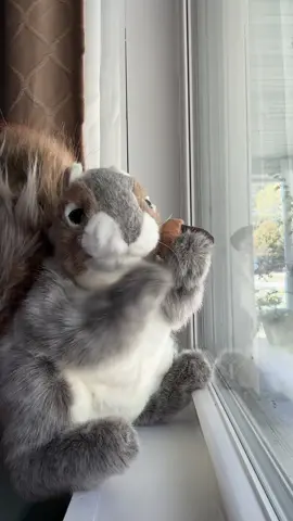 Wiggle wiggle wiggle #baddie #makethisviral #squirrel #fyp #handpuppet 