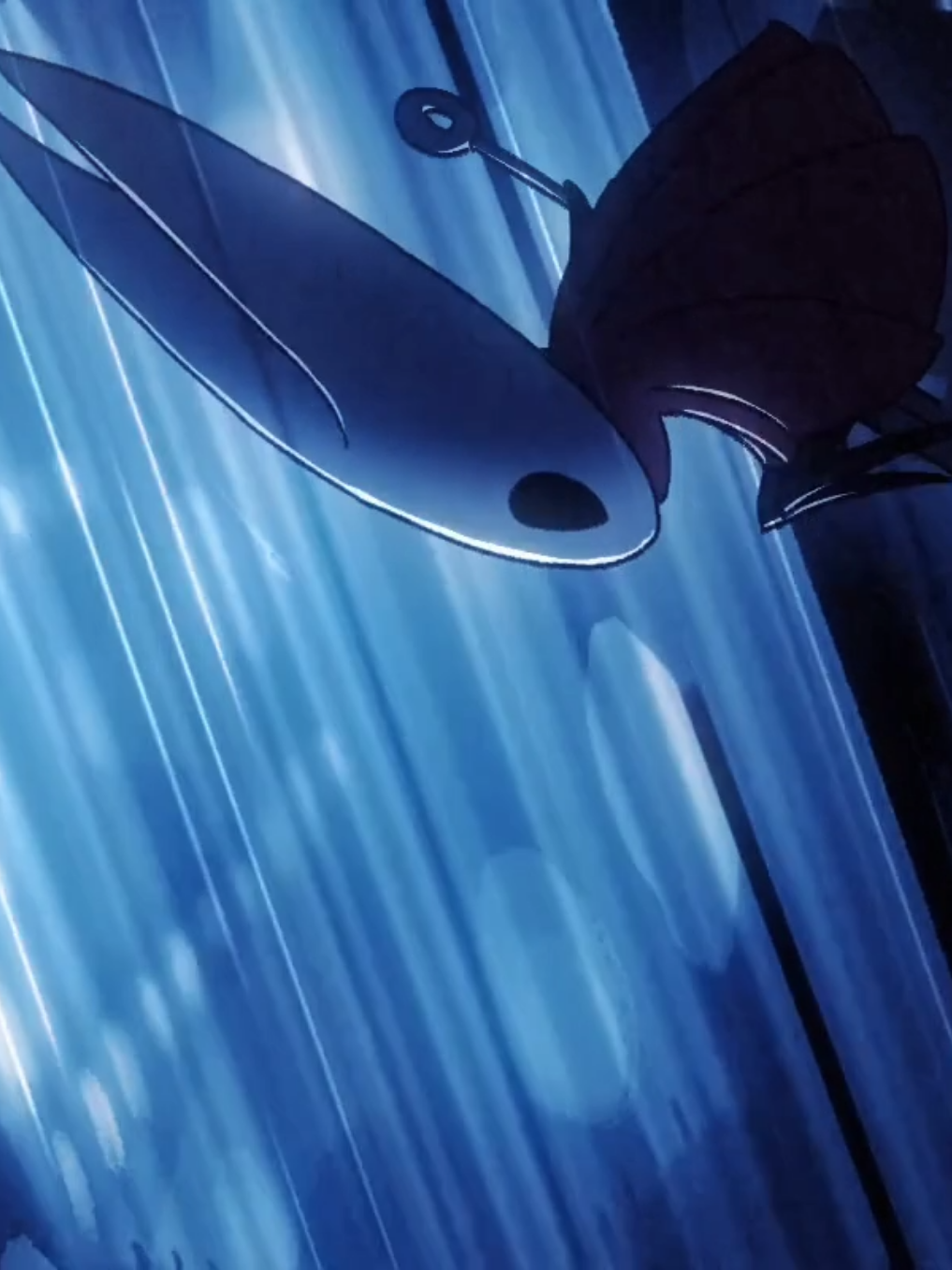 Sunflower #hollowknight #edit #CapCut 